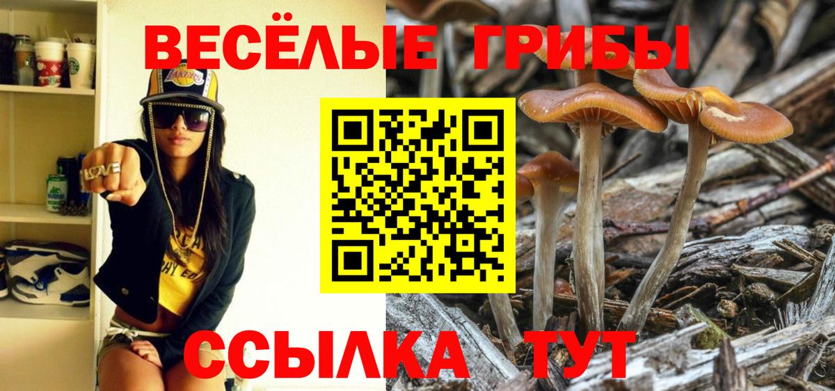 Псилоцибиновые грибы Magic Shrooms Пугачёв